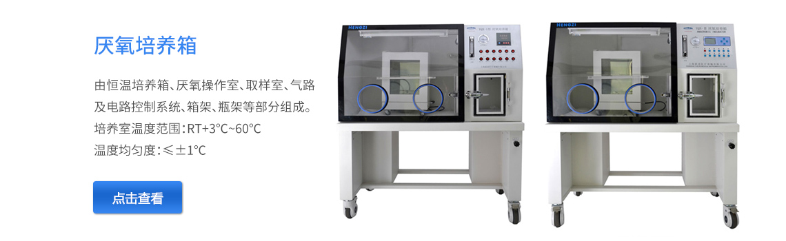 上海跃进厌氧培养箱